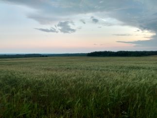 colorful skies over a farm pasture